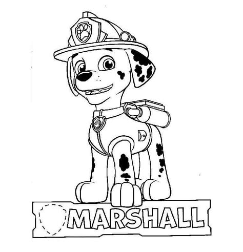 imagenes para colorear patrulla canina|marshall paw patrol dibujo.